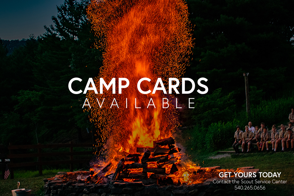 Camp Cards