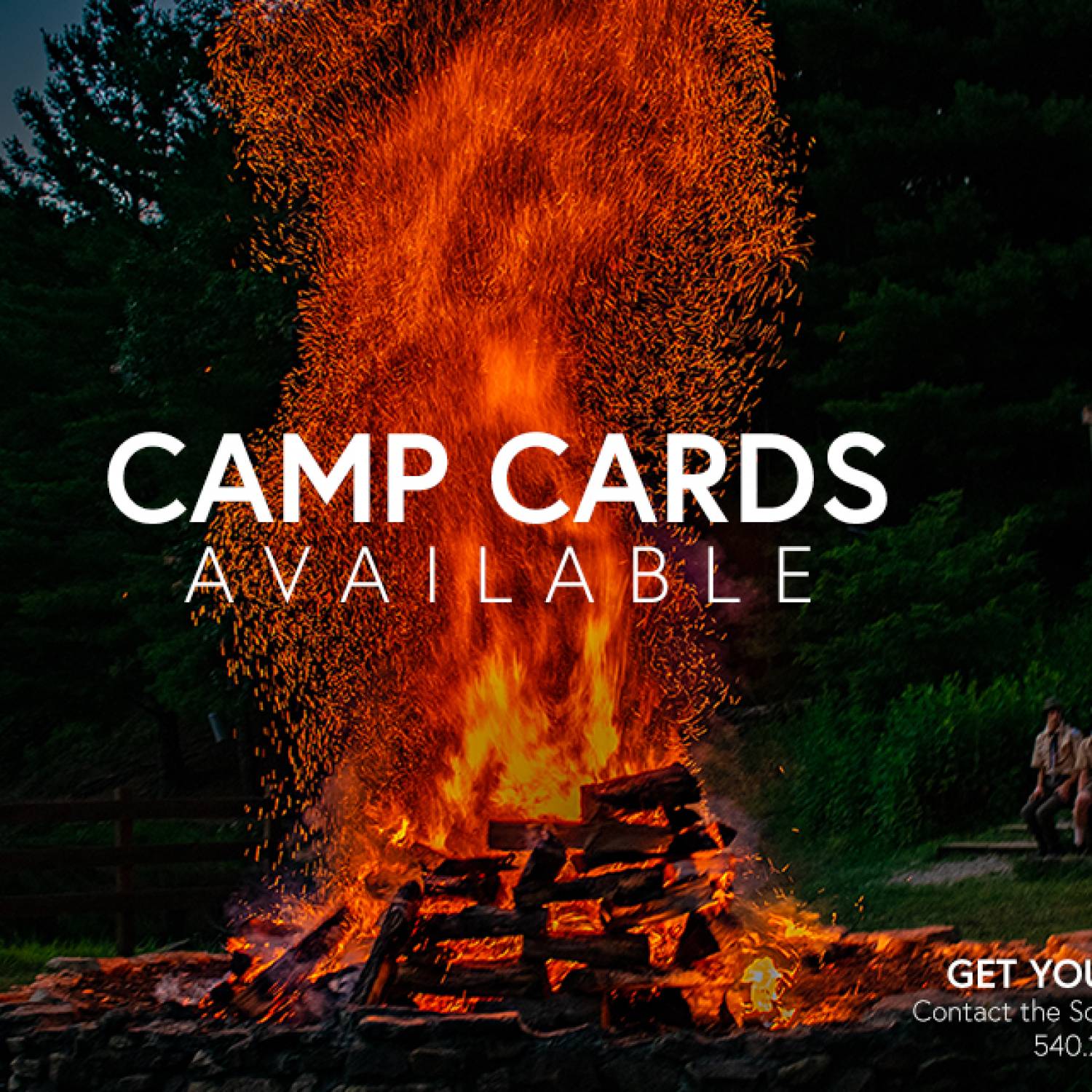 CAMP CARDS ARE HERE